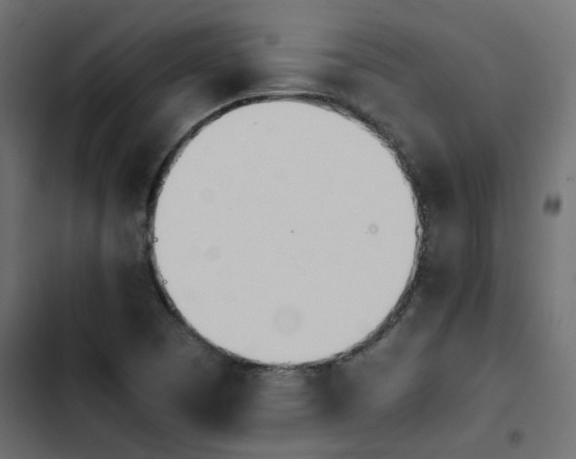 X0000103941457200809261715