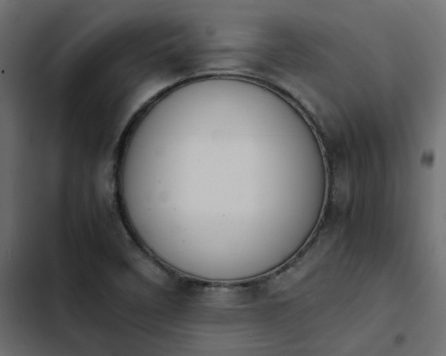 X0000103941458200809261715
