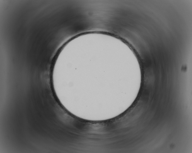 X0000103941460200809261715