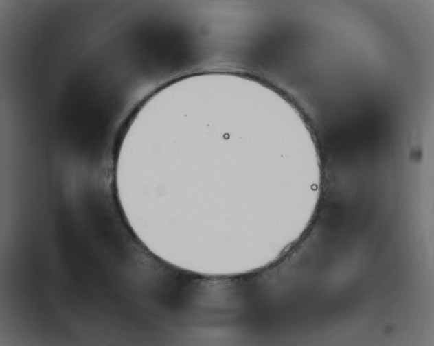 X0000103941461200809261715