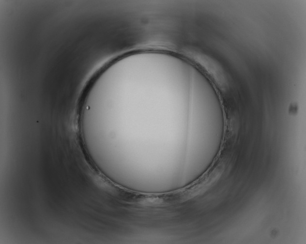 X0000103941462200809261715