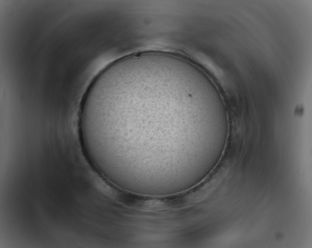 X0000103941463200809261715