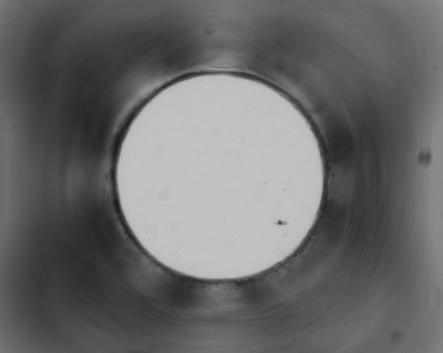 X0000103941464200809261715