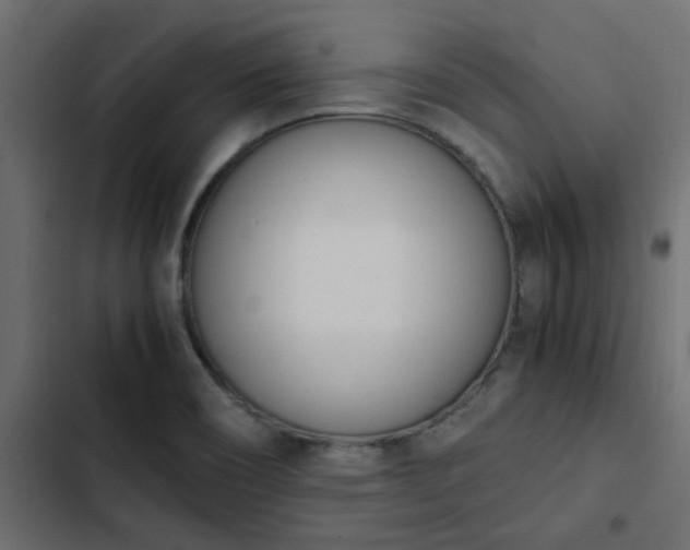X0000103941466200809261715