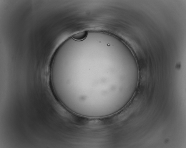 X0000103941467200809261715