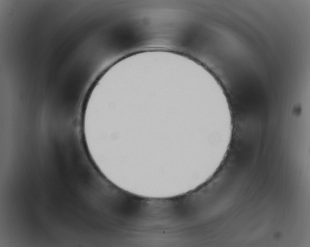 X0000103941469200809261715