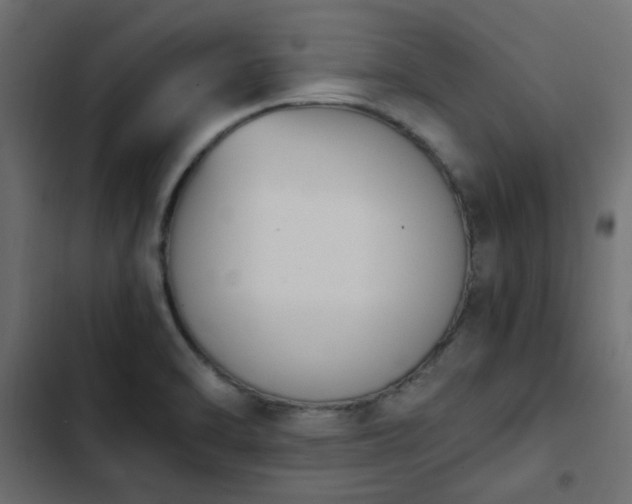 X0000103941470200809261715