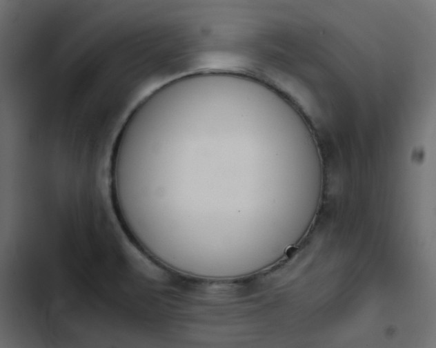 X0000103941471200809261715