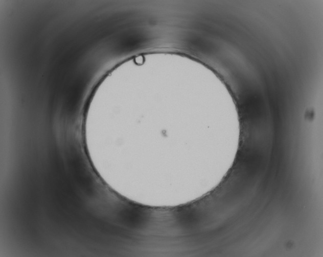 X0000103941472200809261715