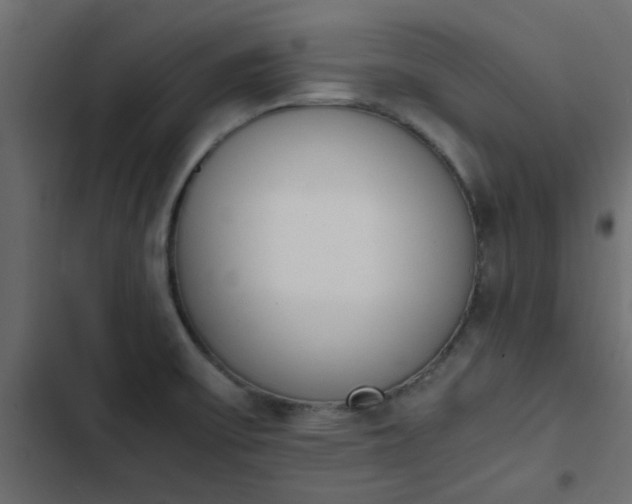 X0000103941475200809261715