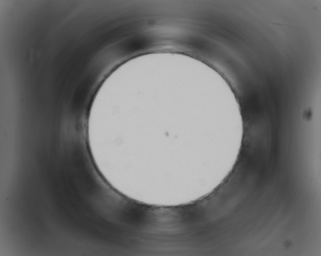 X0000103941476200809261715