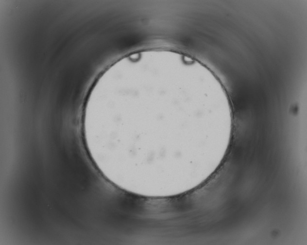 X0000103941477200809261715