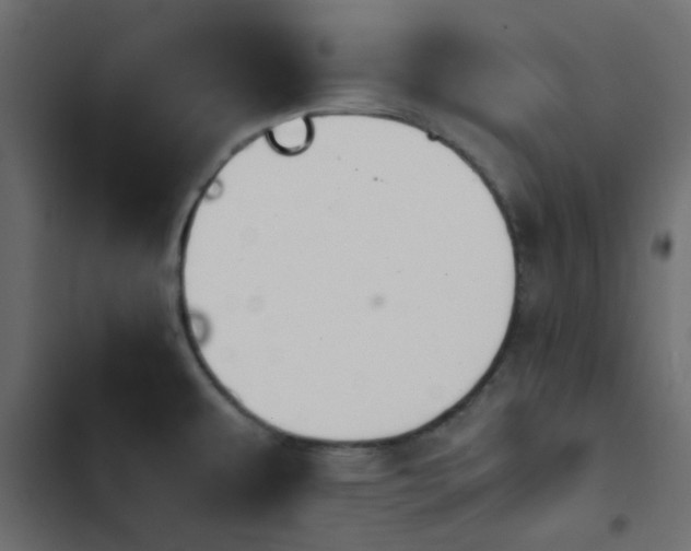 X0000103941479200809261715