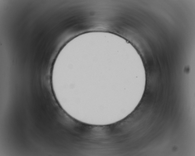 X0000103941480200809261715