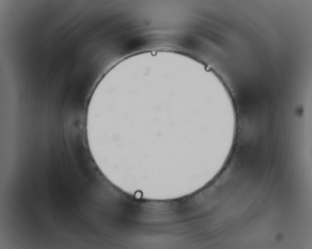 X0000103941481200809261715