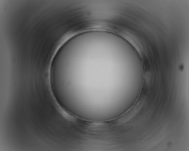 X0000103941482200809261715