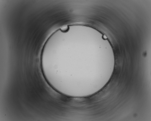 X0000103941483200809261715