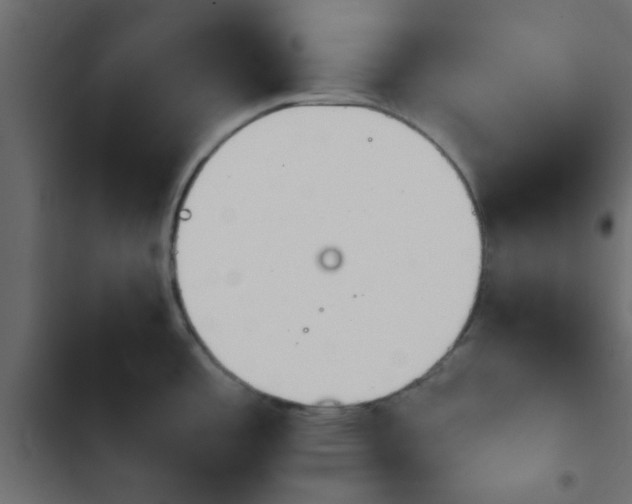 X0000103941485200809261714