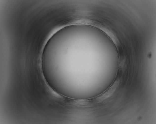 X0000103941486200809261714