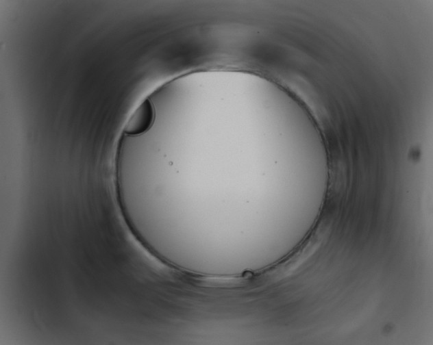 X0000103941487200809261714