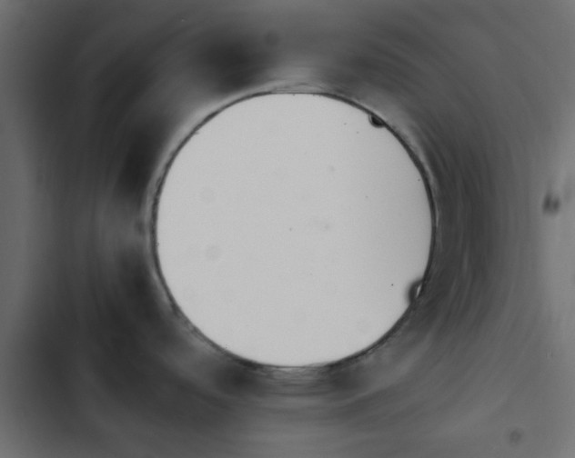 X0000103941488200809261714