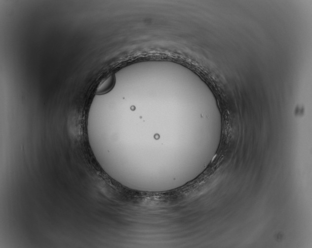 X0000103941490200809261714