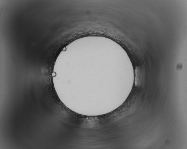X0000103941491200809261714