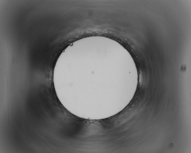 X0000103941492200809261714
