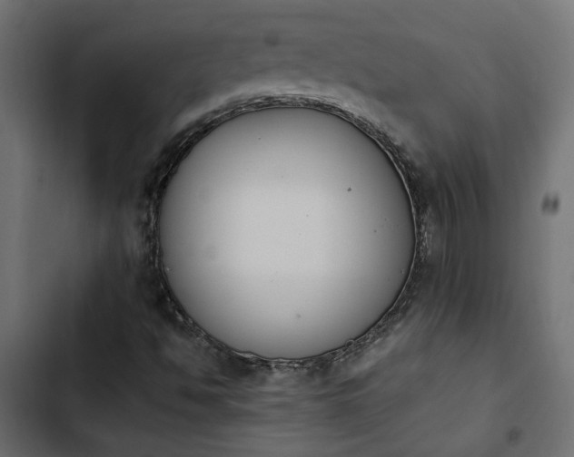 X0000103941494200809261714