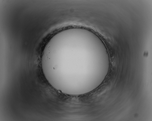 X0000103941495200809261714