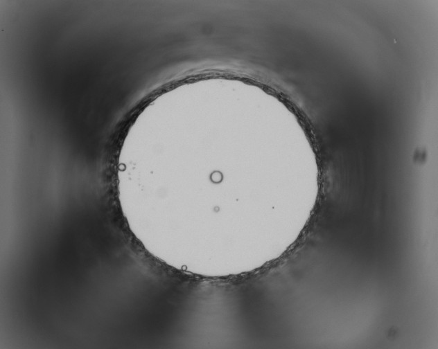 X0000103941496200809261714