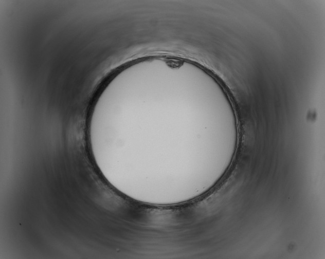 X0000103941499200809261714