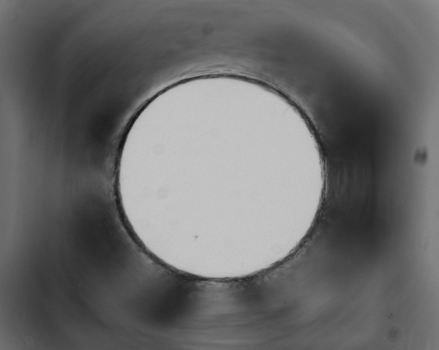 X0000103941500200809261714