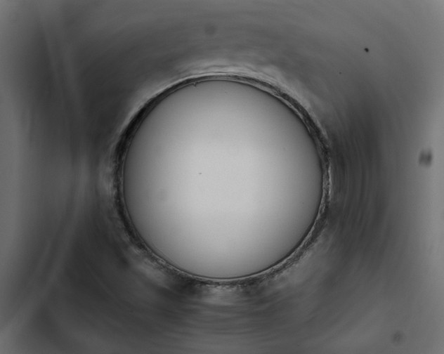 X0000103941501200809261714