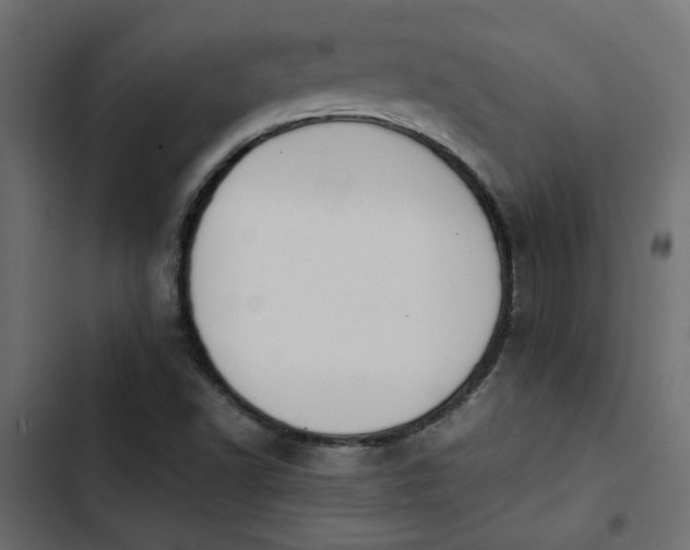 X0000103941502200809261714