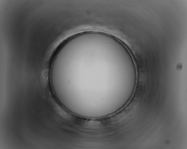 X0000103941503200809261714