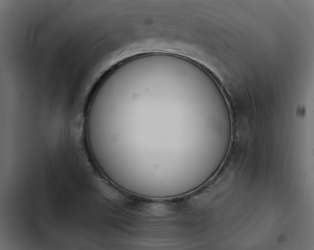 X0000103941507200809261714