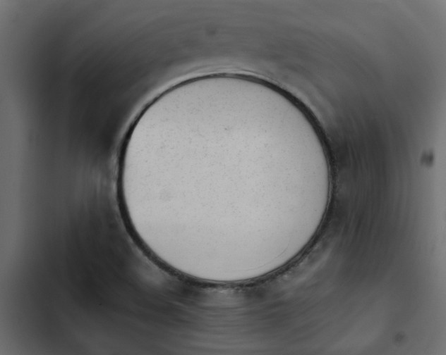 X0000103941508200809261714