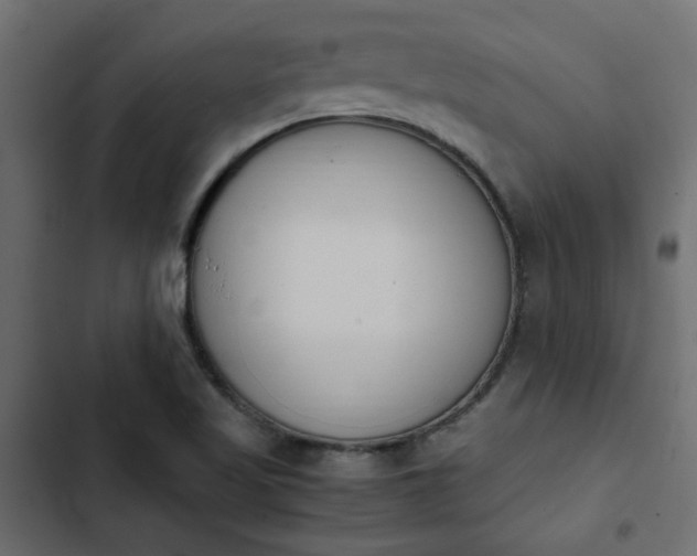 X0000103941509200809261714