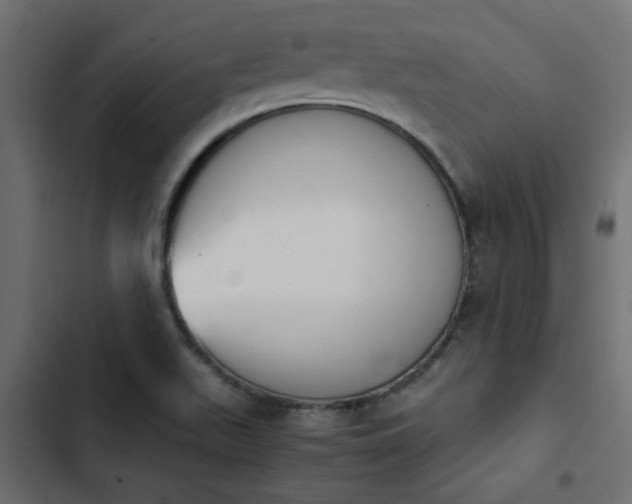 X0000103941511200809261714