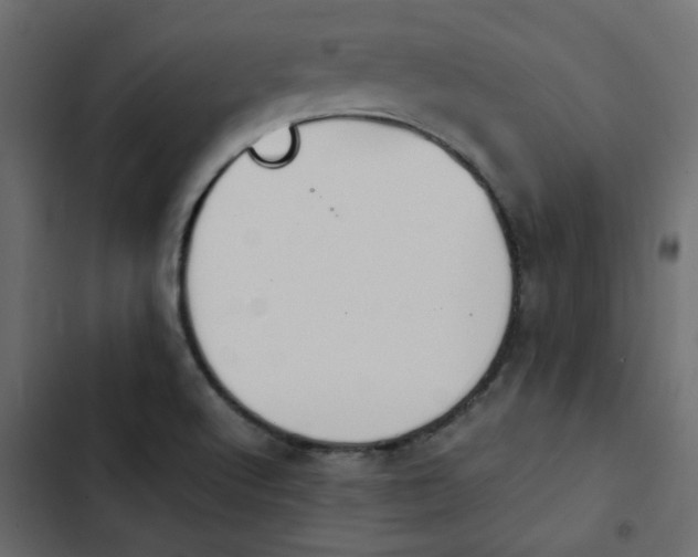 X0000103941512200809261714