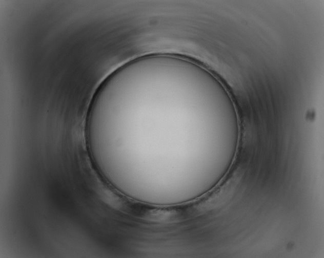 X0000103941513200809261714