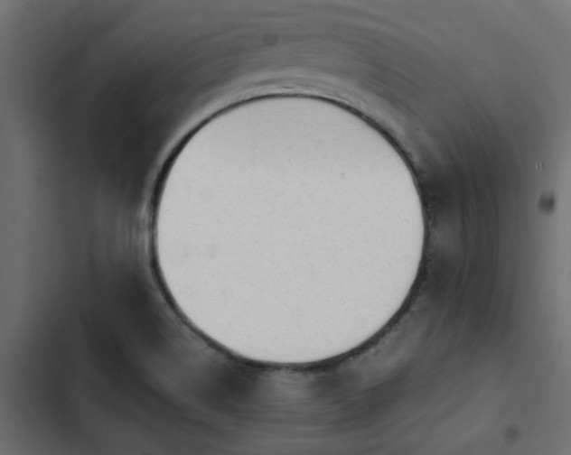 X0000103941514200809261714