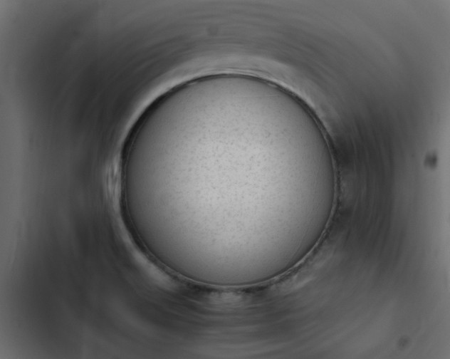 X0000103941515200809261714