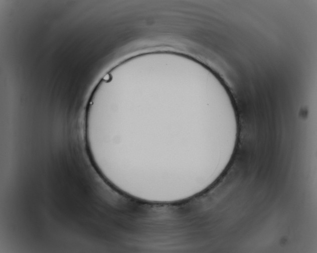 X0000103941516200809261714