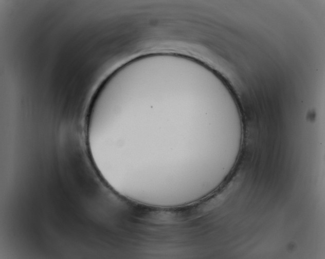 X0000103941517200809261714