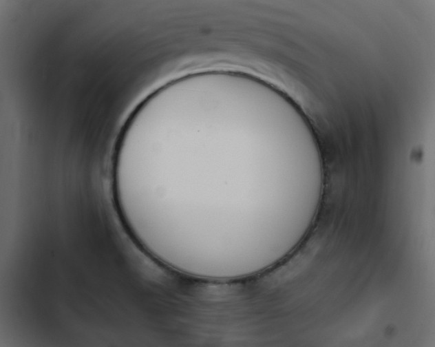 X0000103941518200809261714
