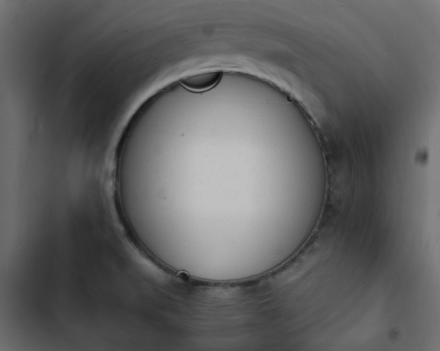 X0000103941519200809261714