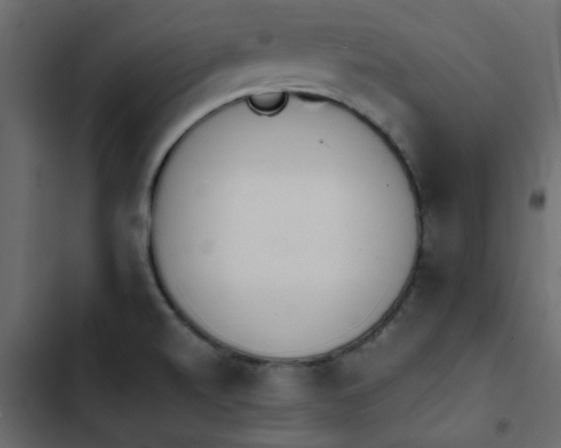 X0000103941520200809261714