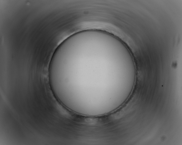 X0000103941521200809261714
